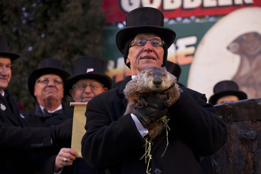 The Groundhog Club President holds up the '127-year-old prognosticator' Punxsatawney Phil