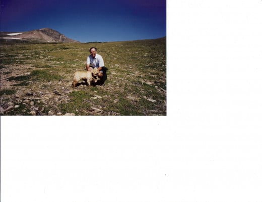 Walking the dog on tundra