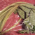 Taro leaves sold in our favorite grocery store. Taro leaves sold in our favorite grocery store.