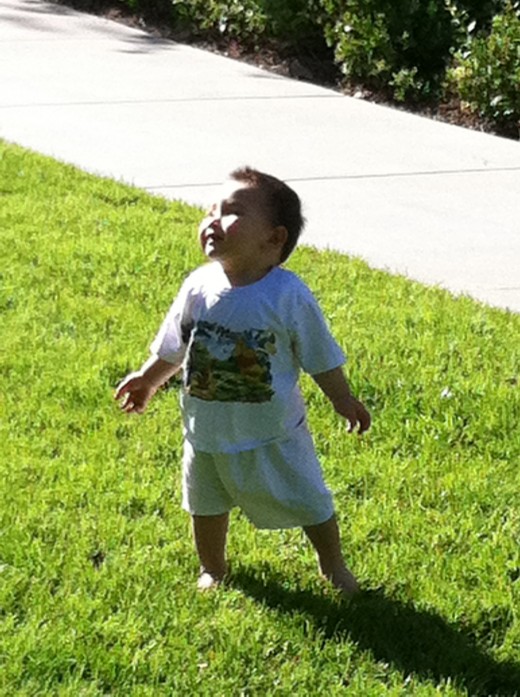 First barefoot in grass steps, that is freedom