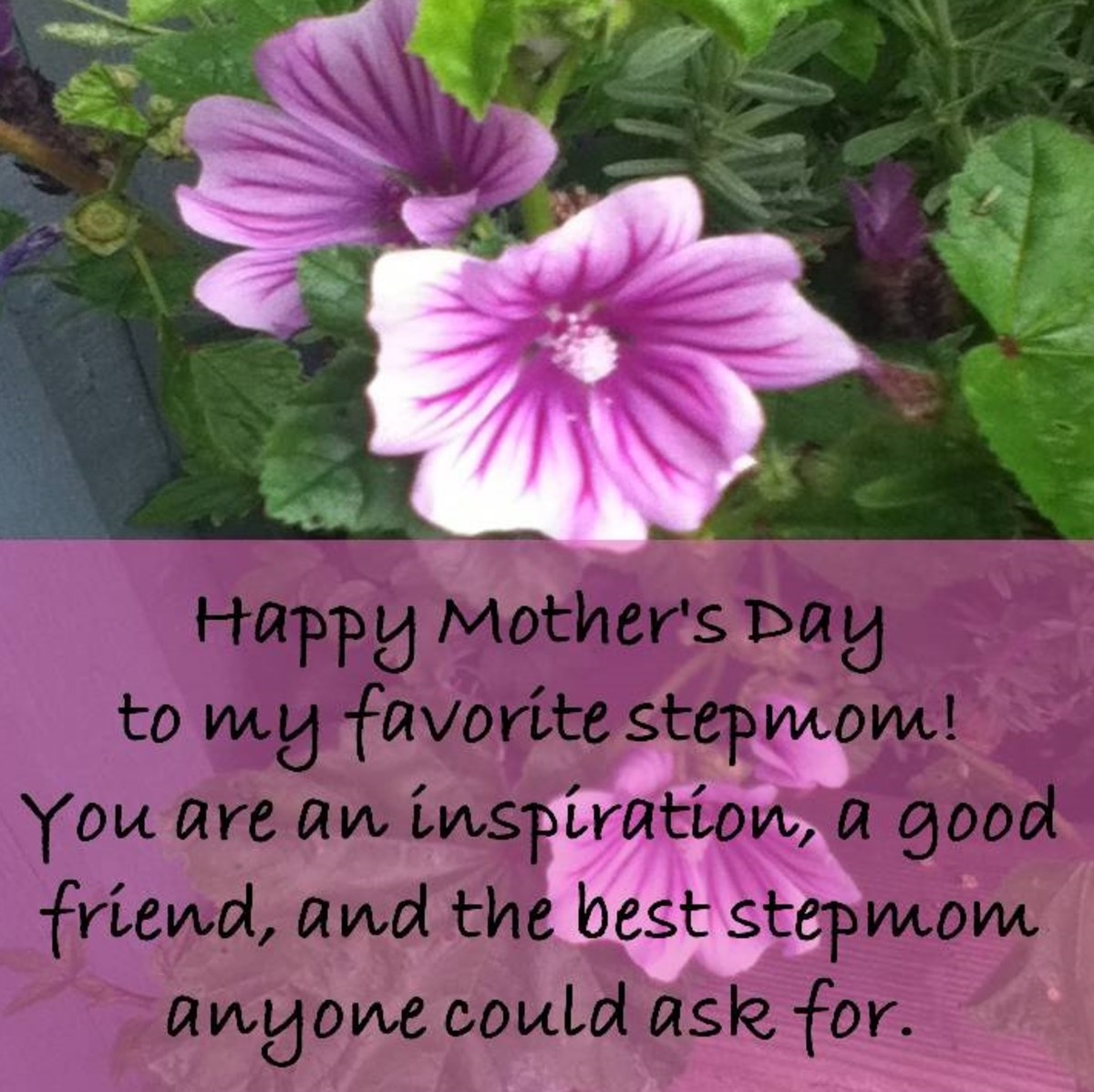Card Greetings And Gift Ideas For A Stepmom On Mother S Day