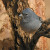 male male