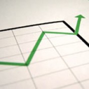 seoservices profile image