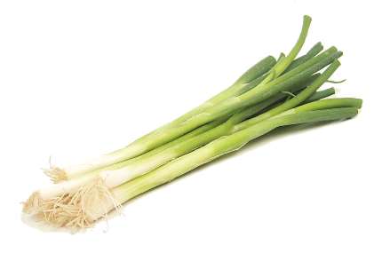 What is a spring onion?