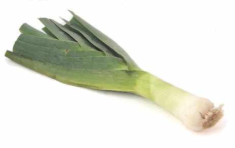 What is a leek?