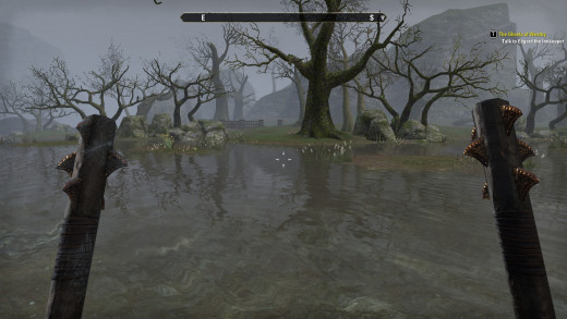 First Person View