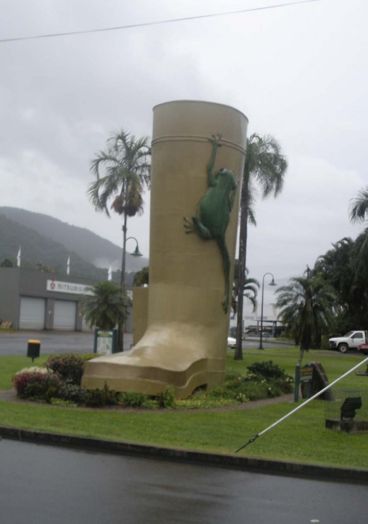 Big Gumboot with Frog, at Tully FNQ - "A pretty wet place"