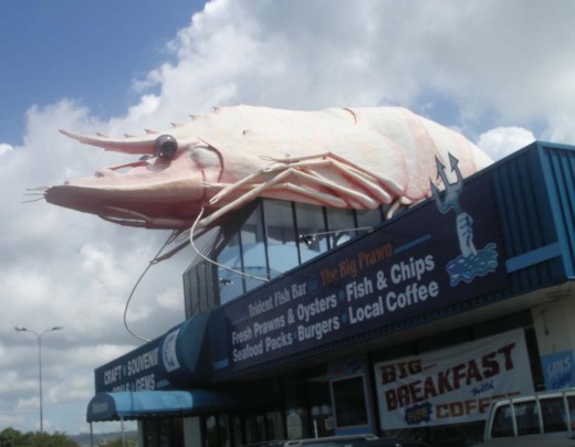 Raw Prawn and Big breakfasts at Ballina, NSW