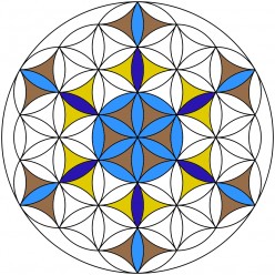 Sacred Geometry: How to Draw a Flower of Life with Only a Compass