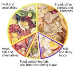 Importance of Balanced Diet for Healthy Body and Mind | HubPages