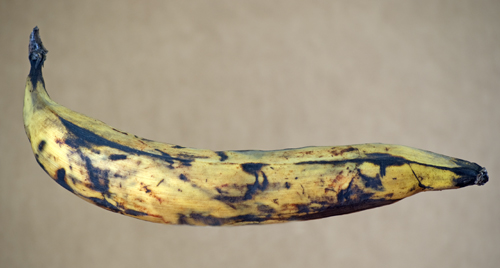 The most popular cooking banana in Honduras, almost ripe and ready.