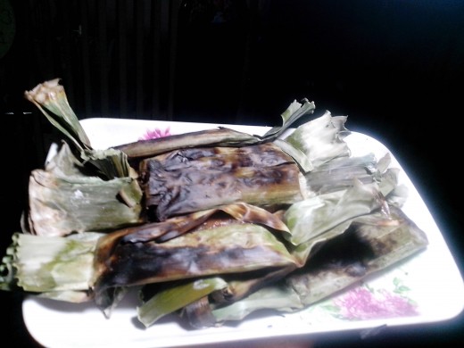 Photo Source: Ireno Alcala
