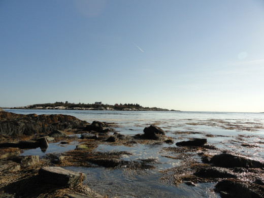 Acadia National Park: a View off of the Park loop road