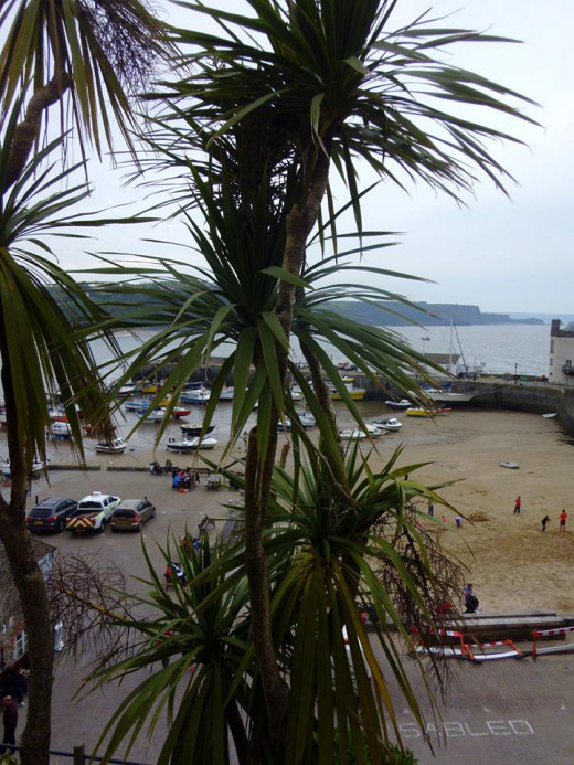 Over looking Harbour Beach.