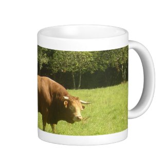 I have a range of Limousin bull and cow gifts - take a  look at my 'The Boss' range! Lots of other Limousin images too - sunflowers, landscapes, flowers ......