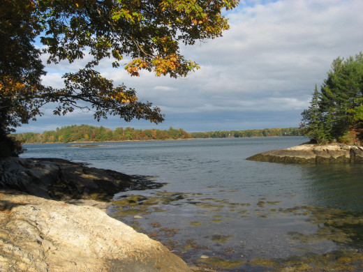 Trails lead you through a quiet excursion by a piece of Freeport's Coast