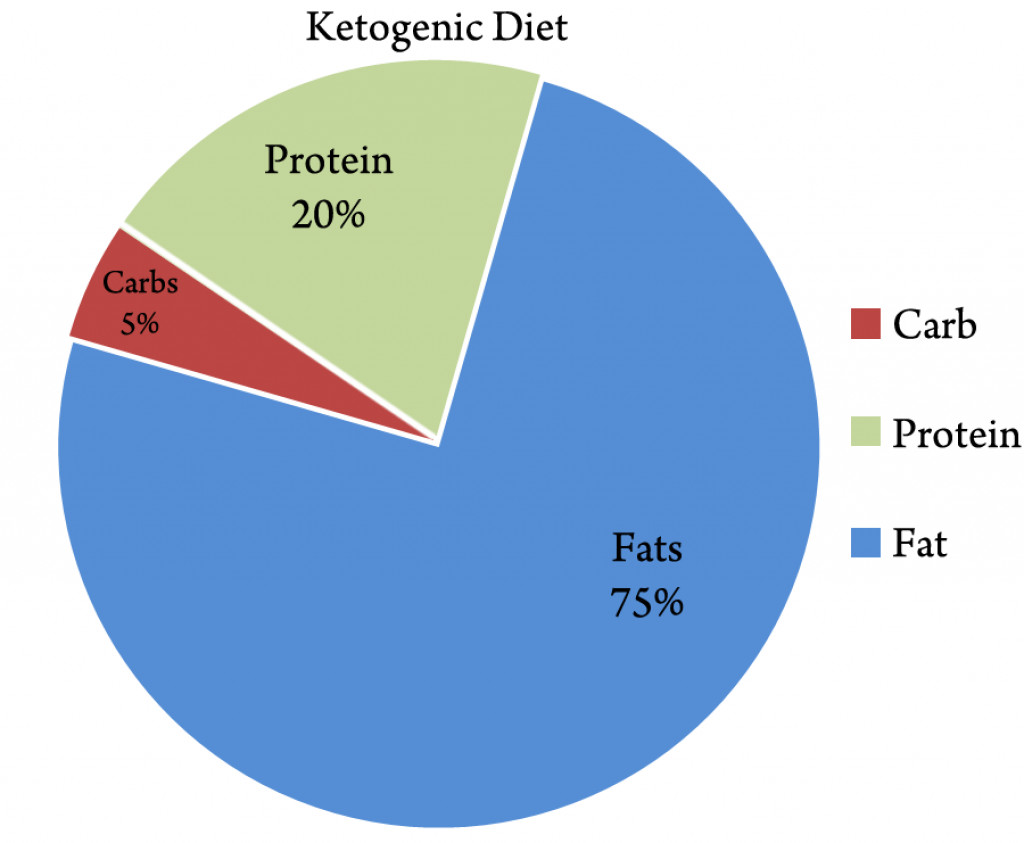 The Ketogenic Diet for Epilepsy | HubPages