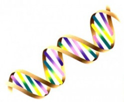 Genetic Engineering Basics