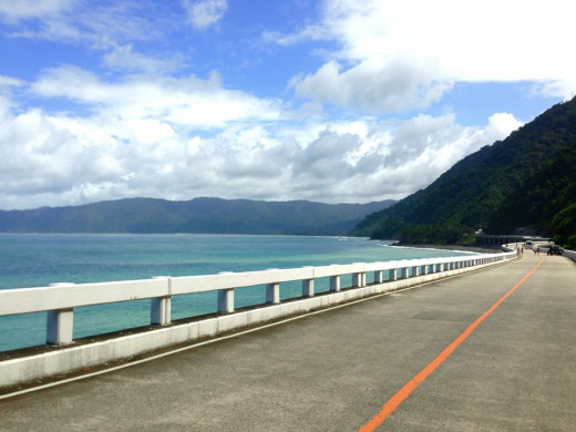 The Patapat Viaduct Length:1.3 kms.
