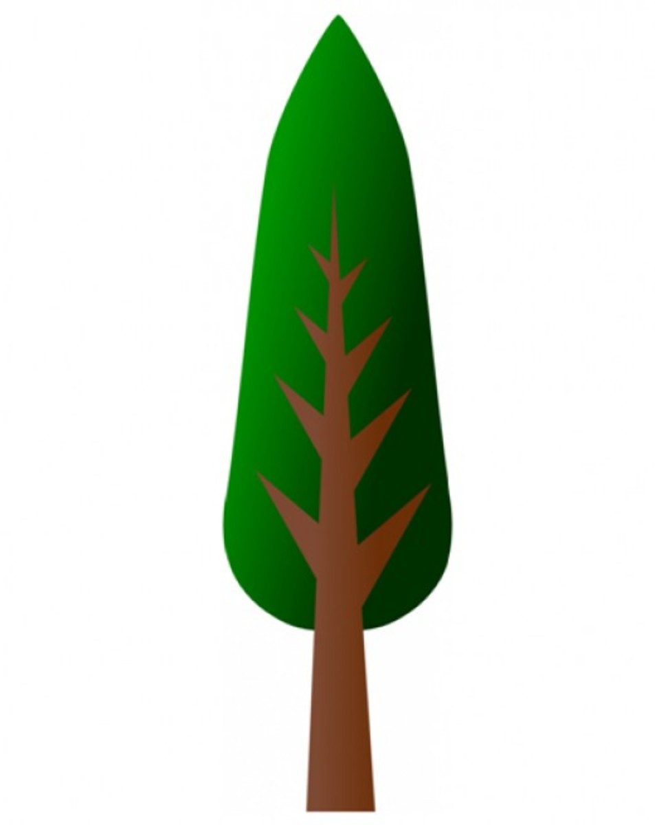 TREE CLIP ART | 175 Free Clip Art Trees | HubPages