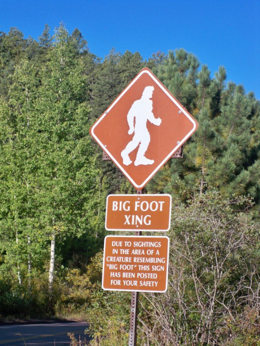 Yup, Big Foot Xing.  This sign is actually on Pikes Peak.