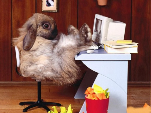 Too much time indoors at the computer isn't good for your immune system, that wants and needs something to fight.
