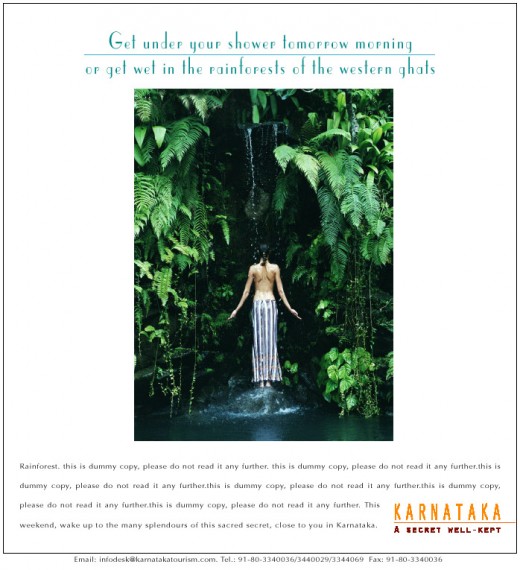 A Perfect Ad Layout