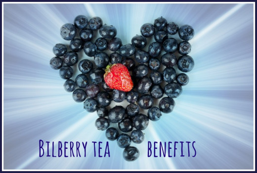 Find out about the health benefits of Bilberry Tea