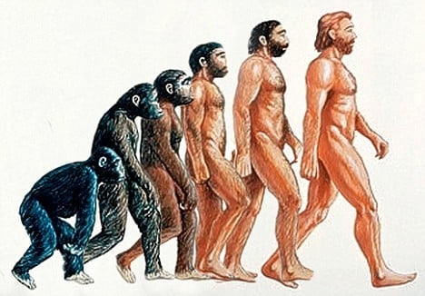 When it comes to the evolution of humanity, this is the view that is conjured up in most of our minds. But there is a fundamental flaw in this that most of us are unaware.