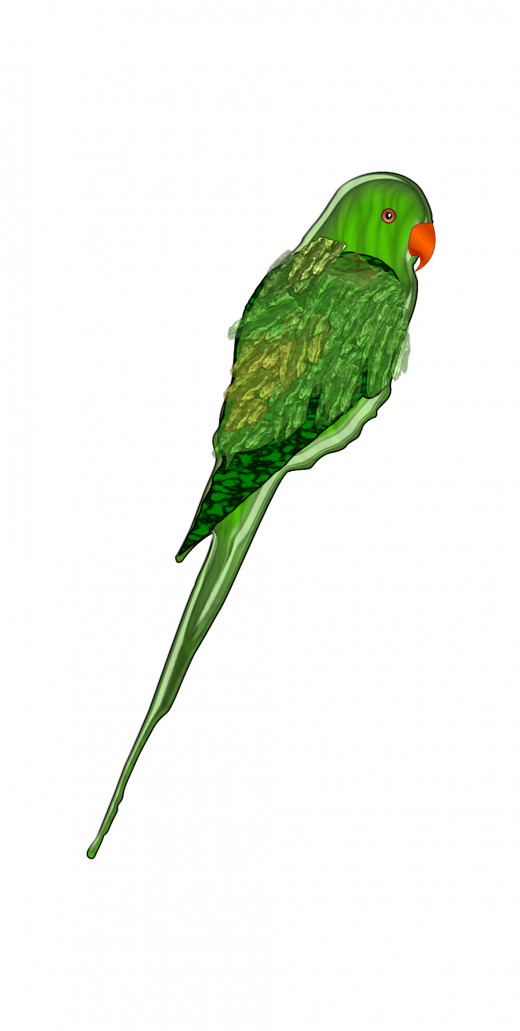 green parrot clipart