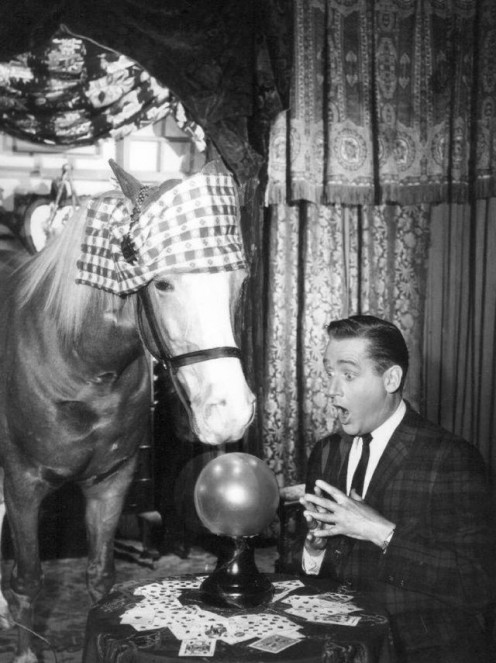 Mister Ed and Alan Young in 1964.