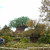 Animal Kingdom Animal Kingdom