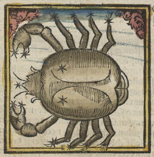 Cancer, the Crab