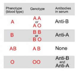 Blood Groups And Importance Of Blood Donation