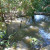 On Tom Sawyer's Island in Magic Kingdom On Tom Sawyer's Island in Magic Kingdom