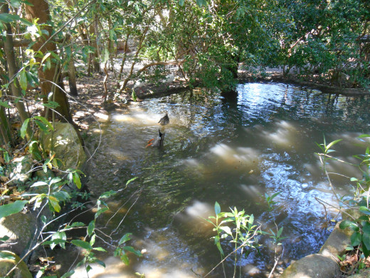 On Tom Sawyer's Island in Magic Kingdom On Tom Sawyer's Island in Magic Kingdom