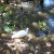 Tom Sawyer's Island in Magic Kingdom Tom Sawyer's Island in Magic Kingdom