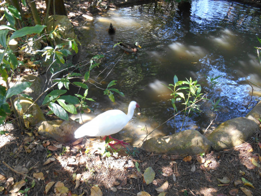 Tom Sawyer's Island in Magic Kingdom Tom Sawyer's Island in Magic Kingdom