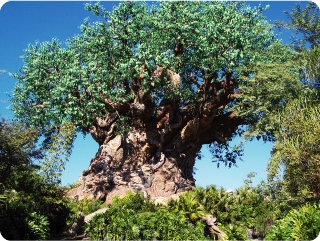 The Imagineered 'Tree of Life' serves as Animal Kingdom's icon and houses (beneath it) one of the park's more popular attractions: It's a Bug's Life.