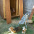 The front section lined up for installation, with dogs eager to move in. The front section lined up for installation, with dogs eager to move in.