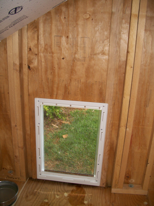 A view of the doggie door from the inside.  Two studs were oriented vertically at just the right distance from each other for mounting the doggie door.