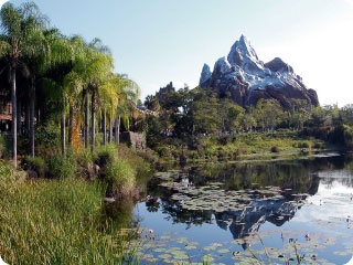 Beyond superb attractions where animals are the stars, Animal Kingdom features many of the best traditional theme park attractions in Disney World, like Expedition Everest pictured here.