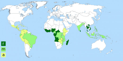 World production of coffee: r - Coffea canephora; a - Coffea arabica; m - Coffea canephora and Coffea arabica.