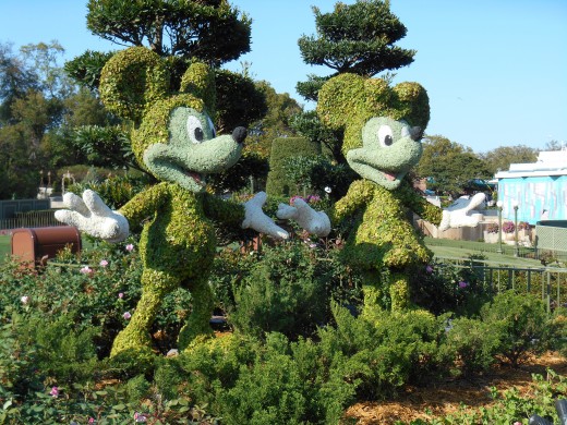 Magic Kingdom