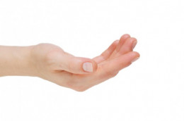 https://usercontent2.hubstatic.com/8986009_f260.jpg