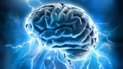 Neuroplasticity -- is it possible to 'upgrade' your brain?