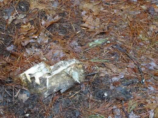 I go on a lot of walks and collect material along the way. Like this birch bark
