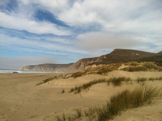 Point Reyes National Seashore a place everyone should visit.