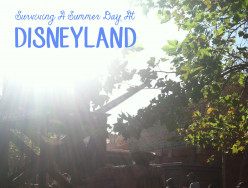 Surviving A Summer Day At Disneyland