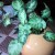 Who says cuttings have to be in little glasses? Who says cuttings have to be in little glasses?